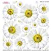 Pellicola Modellabile Big Daisy Serie 3/08BD