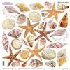 Pellicola Modellabile Shells Serie 4/01