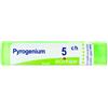 BOIRON Pyrogenium 5ch gr 4g - BOIRON - 800024515