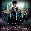 52733 Harry Potter e I Doni della Morte - Parte 2 - In Concerto