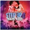 VIDB1 Step Up 4-Miami Heat