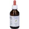 PromoPharma Betulla Semi Gemmoderivato Gocce 100 ml