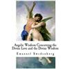 Emanuel Swedenb Angelic Wisdom Concerning the Divine Love and the Di (Tascabile)