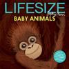 Sophy Henn Lifesize Baby Animals (Copertina rigida)
