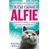 Rachel Wells A Cat Called Alfie (Tascabile) Alfie series
