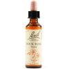 Schwabe Pharma Italia Rock Rose Bach Orig 20 Ml Schwabe Pharma Italia