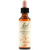 Schwabe Pharma Italia Mimulus Bach Orig 20 Ml Schwabe Pharma Italia