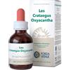 FORZA VITALE ITALIA Forza Vitale Les Crataegus Oxyacantha 50ml