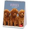 Legami - Calendario da Tavolo 2027, Puppies, 12 Mesi, 12 x 14.5 cm