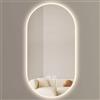 AYSMYGS Specchio Da Bagno Con Luci LED, 400 x 700 mm Ovale Retroilluminato A LED Specchi Da Parete Con Antiappannamento, 3000K-6000K, Dimmerabile(A-anti-fog,40x70cm)