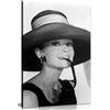 Panther Print Audrey Hepburn con occhiali da sole in bianco e nero stampa su tela da parete (45x30 cm)