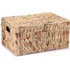 TOLIDA Cesto portaoggetti naturale in giacinto d'acqua intrecciato, impermeabile, con coperchio, per soggiorno, cucina, guardaroba, per vestiti, libri, frutta, verdura, cosmetici, 40 x 28 x 19 cm