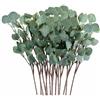 Anlising 15 Pezzi Pianta di Eucalipto Artificial, Foglie di Eucalipto Artificial, Rami di Eucalipto, Eucalipto Falso Pianta, per Decorazione Matrimonio, Giardino, Casa, per Interni ed Esterni (Verde)