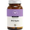 CENTO FIORI Srl B12 HYDRO 100CPS VEG