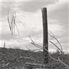 Vlk Solastalgia I (CD) Album