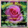 Steiner Kurt Momenti Musicali Vol.5 (CD)