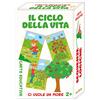 Edizioni Del Baldo Accessori - Vari - Carte Educative. Il Ciclo Della Vita