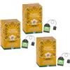 English Tea Shop | Tè Nero BIO Limone, Bergamotto, Vaniglia | Earl Grey alla Vaniglia e Petali di Rosa - 3 x 20 Filtri Tè Scatola Eco Box
