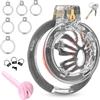 BDSMJOY Gabbia castità mini con 6 anelli e dilatatore uretrale Uomo (Trasparente)