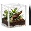 ZWWOGE Terrario Acrilico Trasparente 10x10x10cm, Fauna Box con Pinzetta, Allevamento per Rettili, Insetti, Ragni, Lumache