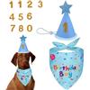 GWAWG Set di bandana con cappello di compleanno per cani - Sciarpa blu Birthday Boy con numeri da 0 a 9, cappello da festa regolabile per cani e gatti, vestito di compleanno per animali domestici