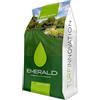 Emeraldgreen Emerald SHADOW, Semi Prato Resistente all'Ombra, Crescita Rapida, Colore Intenso, Alta Resistenza a Calpestio e Malattie, Ideale per Giardini e Zone Difficili, 1kg x 40mq (5, kg)