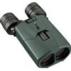 Alpen Optics Apex Steady Binocolo da caccia 14x42 stabilizzato | Ingrandimento 14x, per occhiali, vetro HD, trattamento multistrato UBX, fase PXA, rivestimento lenti LPE