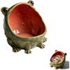 Generic Piatto in ceramica a forma di rana e statua di rana con bocca grande, simpatica ciotola a forma di rana per decorare la tavola dell'ingresso, ciotola per gioielli, monete e accessori divertenti da