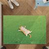 Odot Zerbino Antiscivolo, Zerbino Ingresso Esterno con Fondo in Gomma, Gatto delle Praterie Tappeto Luffa in PVC Interno Esterno, Tappeto Ingresso Lavabile per Terrazza Corridoio (Verde 5,50x80cm)