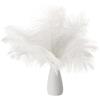 PATIKIL 8-10 Pollici(20-25cm) Piume di Struzzo, 30pz Piume Struzzo Artificiali Naturali Rinfusa per Decorazioni Centrotavola Feste Matrimonio Artigianato Bianco (5 Larghezza)
