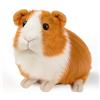 SHINELINE Marrone, dolce porcellino d'India, peluche realistico, porcellini d'India, morbido maiale di mare, per regalo di inizio della scuola