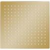 Lumanois Testa Doccia a Pioggia in Acciaio Inox 30x30 cm Quadrata Oro, Componenti doccia,Soffioni doccia, 1.39kg-147710