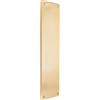 Infinity Decor 5 millimetri in ottone forgiato vittoriano porta spingere dito piatto varie finiture 275 mm x 60 mm ottone satinato/stile vintage decorativo fantasia dito piatto porta Push Plate