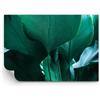 ARTTOR Carta da Parati in TNT 100x70 cm Botanica Natura - 4694 - WF1 | Foglie Palma Alberi Standard Fotomurale Moderno Decorazione da Parete Murale da Parete Per Soggiorno Camera da Letto ARTTOR