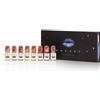 perma blend Carla Ricciardone EMBODY Set - Perma Blend Luxe - 8x15ml - Pigmenti PMU REACH