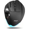 TKMARS Mouse Trackball Ergonomico Wireless con Display a Colori, 8 Tasti Programmabili, Rotella Multifunzionale, 8000 DPI, Bluetooth e 2.4G, Ricaricabile per PC, Laptop