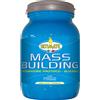VITA AL TOP Ultimate Mass Building Van 1,8