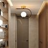 LAI HO Plafoniera A LED Lampada da Soffitto Nordica Dorata per Guardaroba Portico Ingresso semplicità Sfera di Vetro Lampadario Lustro Apparecchi per La Decorazione della Casa per Interni,Nero