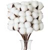 Flewdart 10pcs steli fiori di cotone veri essiccati, Bouquet Artificiale di fiori cotone secchi naturali per Decorazioni Vasi e Casa di matrimonio