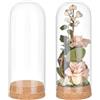 BENECREAT 2 pz. Barattoli Decorativi A Cupola, Campana In Vetro Da 60x155mm con Base In Sughero per La Conservazione Dei Fiori, Esemplari, Decorazioni Artigianali