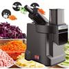 lealovengzh Affettatrice Elettrica per Verdure 3 in 1, Grattugia, Taglia A Cubetti E Taglia A Strisce, Nuovo Tritatutto Automatico Multifunzione Commerciale con Doppia Porta per Frutta E Verdura. C