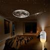 Generic Lampada proiettore notturno 2-in-1 Galaxy con 12 pellicole di proiezione scorrevoli, proiettore notturno LED Galaxy regolabile a 360°, alimentato tramite USB con collo d'oca flessibile e TouchControl