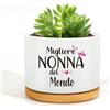 Generico Regalo Nonna Compleanno,Nonni Idee Regali,Regalo Per Nonne,Regali Per La Nonne,Vaso Di Succulente,Festa Dei Nonni Nonna Natale