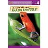 Ginjer L. Clarke Life in the Amazon Rainforest (Tascabile)