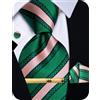 YourTies Cravatte di seta da uomo, motivo scozzese e cachemire, con motivo floreale, gemelli quadrati e fermacravatta, set di fermacravatta per feste, Verde rosa a righe, Taglia unica