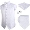 Alizeal Set Gilet da Completo Classico da Uomo 5 Pezzi Paisley Jacquard, XL