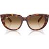 Ray-Ban Occhiali da sole donna Rb2286 Doreen, Avana chiaro su marrone sfumato trasparente/trasparente, 49 mm