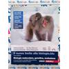 Rebillo NUOVO INVITO ALLA BIOLOGIA.BLU (IL) 3ED. (LDM) - (9788808608031) + Materiali didattici - Rebillo