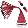 Segus Cordino Porta Badge da Collo, 10 Pezzi Lanyard con Chiusura di Sicurezza, Laccio Portachiavi con Clip in Metallo, Lanyard Collo Infermiere, Impiegati (Jujube Red)