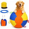Generico Giant Herding Ball for Dogs, Interactive Herding Ball for Dogs and Pets, 2026 New Durable Inflatable Giant Dog Balls for Outdoor Exercise (Multicolor, 25 cm/10 in)